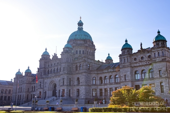 Victoria_city_nature_urban_Vancouver_Island_British_Colombia_Canada_North_America_Cities_Photography_010_Canon_EOS_5D_Mark_IV.JPG