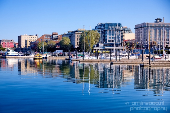 Victoria_city_nature_urban_Vancouver_Island_British_Colombia_Canada_North_America_Cities_Photography_014_Canon_EOS_5D_Mark_IV.JPG