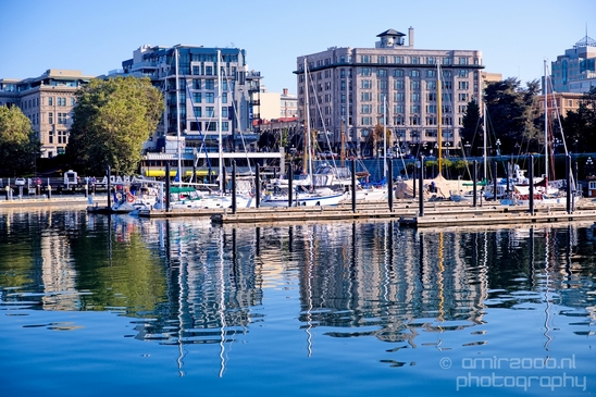 Victoria_city_nature_urban_Vancouver_Island_British_Colombia_Canada_North_America_Cities_Photography_015_Canon_EOS_5D_Mark_IV.JPG