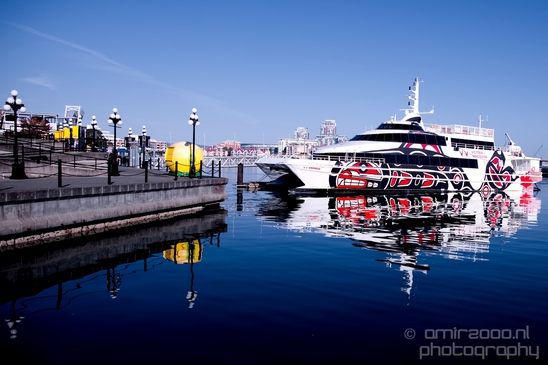 Victoria_city_nature_urban_Vancouver_Island_British_Colombia_Canada_North_America_Cities_Photography_018_Canon_EOS_5D_Mark_IV.JPG