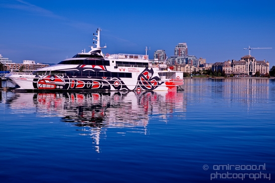 Victoria_city_nature_urban_Vancouver_Island_British_Colombia_Canada_North_America_Cities_Photography_021_Canon_EOS_5D_Mark_IV.JPG