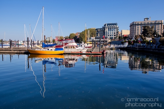 Victoria_city_nature_urban_Vancouver_Island_British_Colombia_Canada_North_America_Cities_Photography_023_Canon_EOS_5D_Mark_IV.JPG