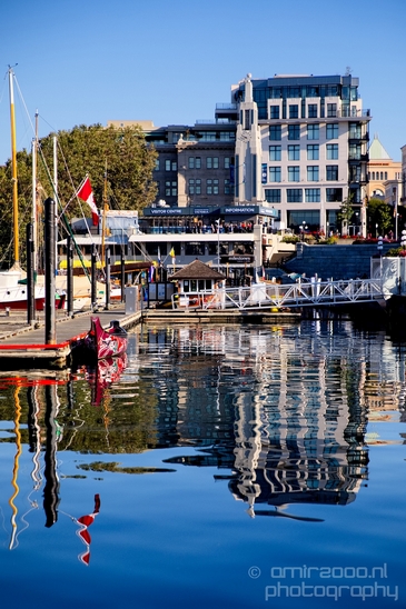 Victoria_city_nature_urban_Vancouver_Island_British_Colombia_Canada_North_America_Cities_Photography_024_Canon_EOS_5D_Mark_IV.JPG