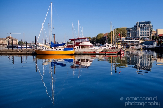 Victoria_city_nature_urban_Vancouver_Island_British_Colombia_Canada_North_America_Cities_Photography_025_Canon_EOS_5D_Mark_IV.JPG