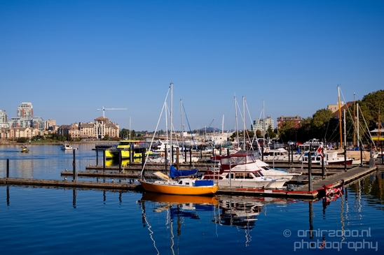 Victoria_city_nature_urban_Vancouver_Island_British_Colombia_Canada_North_America_Cities_Photography_026_Canon_EOS_5D_Mark_IV.JPG