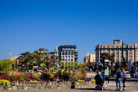 Victoria_city_nature_urban_Vancouver_Island_British_Colombia_Canada_North_America_Cities_Photography_041_Canon_EOS_5D_Mark_IV.JPG