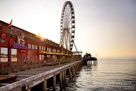 Waterfront_Park_big_wheel_promenade_Seattle_Washington_state_city_urban_Usa_North_America_Cities_Photography_008_Canon_EOS_5D_Mark_IV.JPG