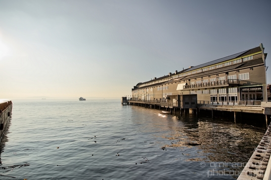 Waterfront_Park_big_wheel_promenade_Seattle_Washington_state_city_urban_Usa_North_America_Cities_Photography_012_Canon_EOS_5D_Mark_IV.JPG