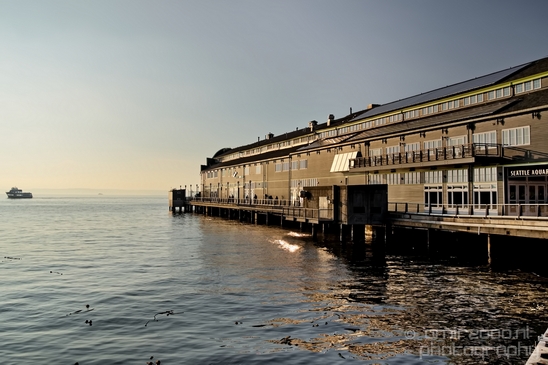 Waterfront_Park_big_wheel_promenade_Seattle_Washington_state_city_urban_Usa_North_America_Cities_Photography_013_Canon_EOS_5D_Mark_IV.JPG