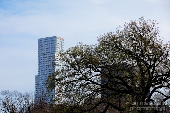 In_the_Central_park_urban_NYC_USA_Photography_001_Canon_EOS_5D_Mark_IV.JPG