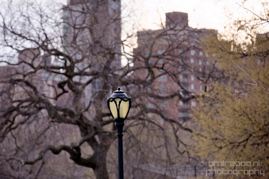 In_the_Central_park_urban_NYC_USA_Photography_004_Canon_EOS_5D_Mark_IV.JPG