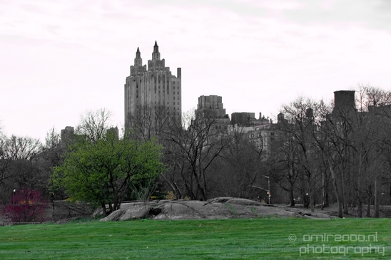 In_the_Central_park_urban_NYC_USA_Photography_007_Canon_EOS_5D_Mark_IV.JPG