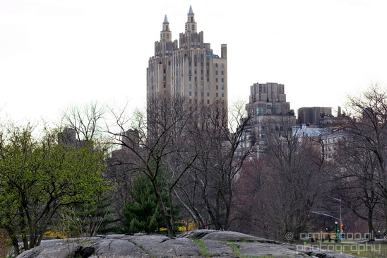 In_the_Central_park_urban_NYC_USA_Photography_009_Canon_EOS_5D_Mark_IV.JPG