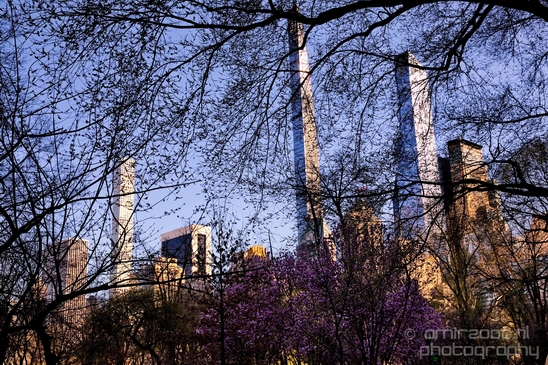 In_the_Central_park_urban_NYC_USA_Photography_010_Canon_EOS_5D_Mark_IV.JPG