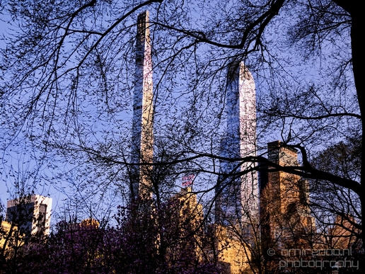 In_the_Central_park_urban_NYC_USA_Photography_011_Canon_EOS_5D_Mark_IV.JPG