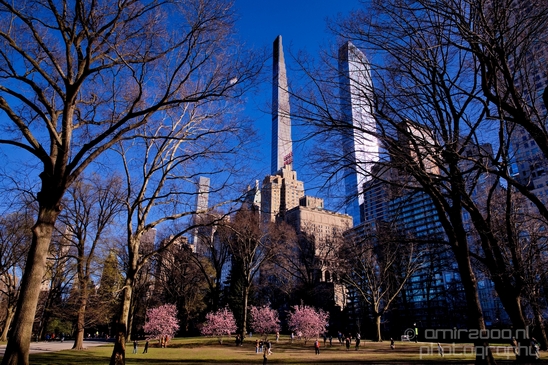 In_the_Central_park_urban_NYC_USA_Photography_018_Canon_EOS_5D_Mark_IV.JPG