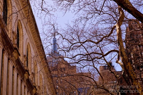 New_York_City_Manhattan_street_urban_NYC_USA_Photography_089_Canon_EOS_5D_Mark_IV.JPG