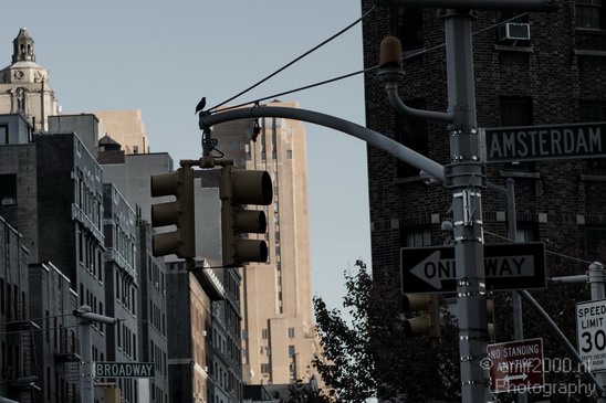 New_York_City_Usa_Nyc_Photography_030_Canon_EOS_7D.JPG