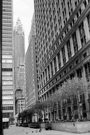 New_York_City_Cityscape_Black_White_Usa_Nycbw_Photography_119_Canon_EOS_7D.JPG