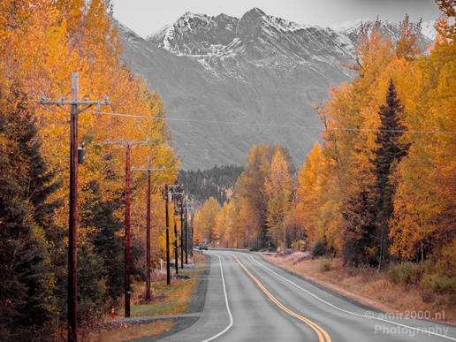 Alaska_On_the_Road_transportation_Trip_USA_Scene_Photography_011_Canon_EOS_5D_Mark_IV.JPG
