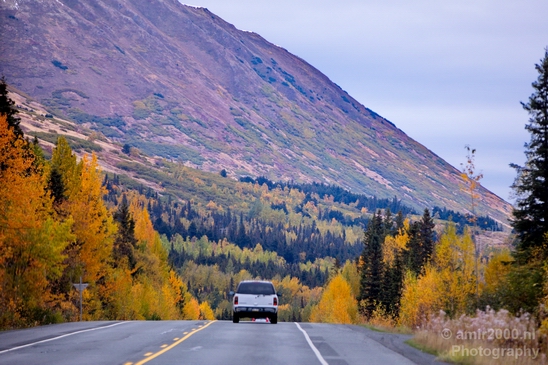 Alaska_On_the_Road_transportation_Trip_USA_Scene_Photography_015_Canon_EOS_5D_Mark_IV.JPG