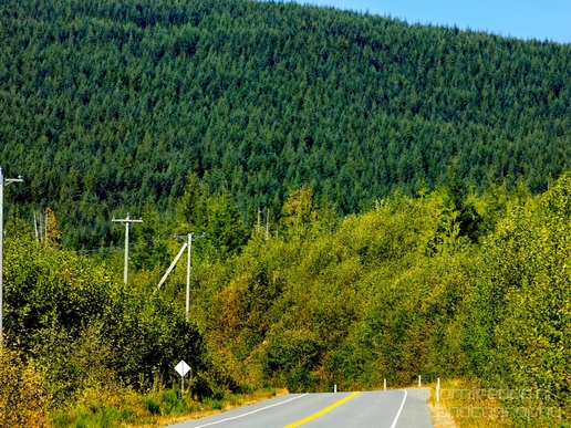 On_the_Road_transportation_Trip_BC_Canada_Washington_USA_Scene_Photography_039_Canon_EOS_5D_Mark_IV.JPG