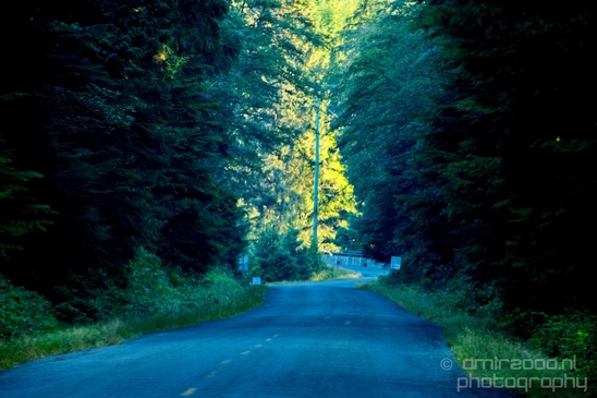 On_the_Road_transportation_Trip_BC_Canada_Washington_USA_Scene_Photography_046_Canon_EOS_5D_Mark_IV.JPG