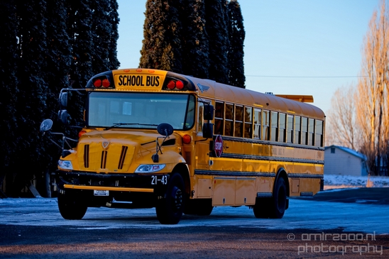 On_the_Road_transportation_Trip_USA_Scene_Photography_059_Canon_EOS_5D_Mark_IV.JPG