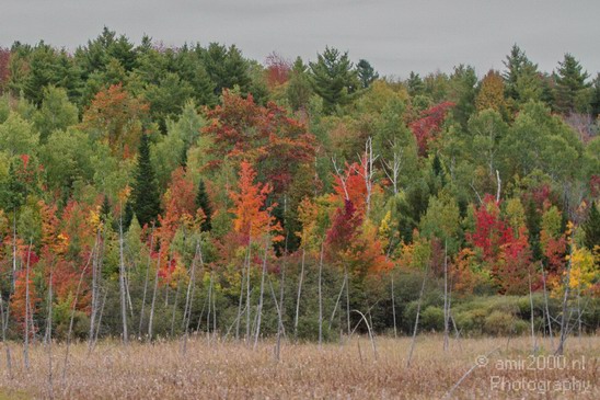 Acadia_National_Park_Maine_Fall_USA_Nature_Photography_003_Canon_EOS_7D.JPG