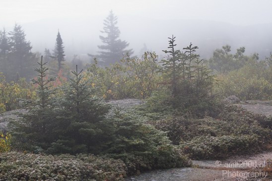 Acadia_National_Park_Maine_Fall_USA_Nature_Photography_025_Canon_EOS_7D.JPG