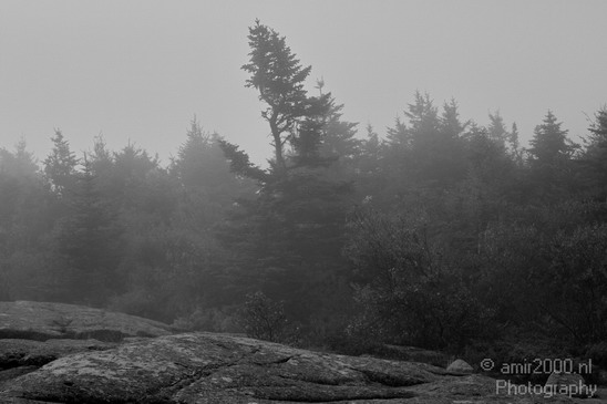 Acadia_National_Park_Maine_Fall_USA_Nature_Photography_029_Canon_EOS_7D.JPG
