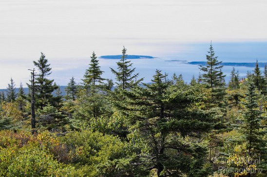 Acadia_National_Park_Maine_Fall_USA_Nature_Photography_030_Canon_EOS_7D.JPG