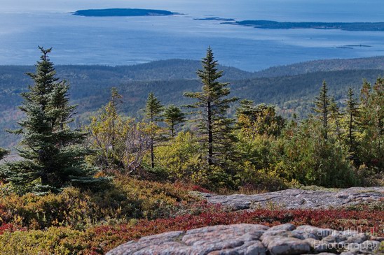 Acadia_National_Park_Maine_Fall_USA_Nature_Photography_032_Canon_EOS_7D.JPG