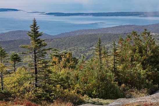 Acadia_National_Park_Maine_Fall_USA_Nature_Photography_034_Canon_EOS_7D.JPG
