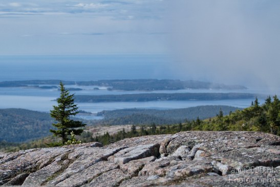 Acadia_National_Park_Maine_Fall_USA_Nature_Photography_035_Canon_EOS_7D.JPG