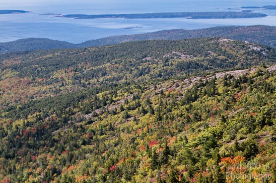 Acadia_National_Park_Maine_Fall_USA_Nature_Photography_039_Canon_EOS_7D.JPG