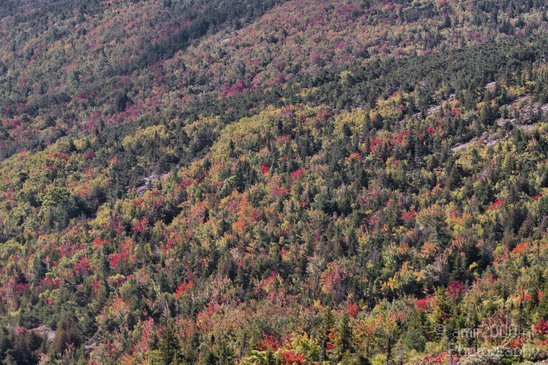 Acadia_National_Park_Maine_Fall_USA_Nature_Photography_041_Canon_EOS_7D.JPG