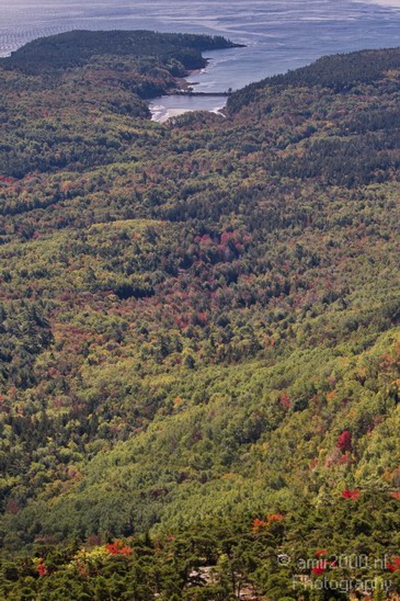 Acadia_National_Park_Maine_Fall_USA_Nature_Photography_043_Canon_EOS_7D.JPG