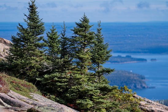 Acadia_National_Park_Maine_Fall_USA_Nature_Photography_044_Canon_EOS_7D.JPG