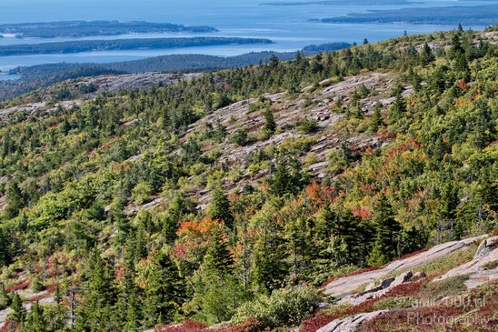 Acadia_National_Park_Maine_Fall_USA_Nature_Photography_045_Canon_EOS_7D.JPG
