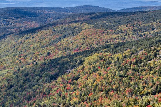 Acadia_National_Park_Maine_Fall_USA_Nature_Photography_047_Canon_EOS_7D.JPG