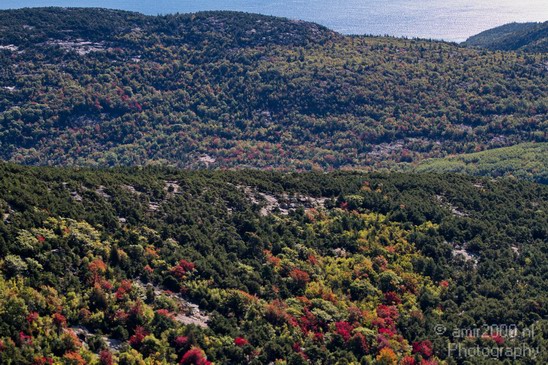 Acadia_National_Park_Maine_Fall_USA_Nature_Photography_050_Canon_EOS_7D.JPG