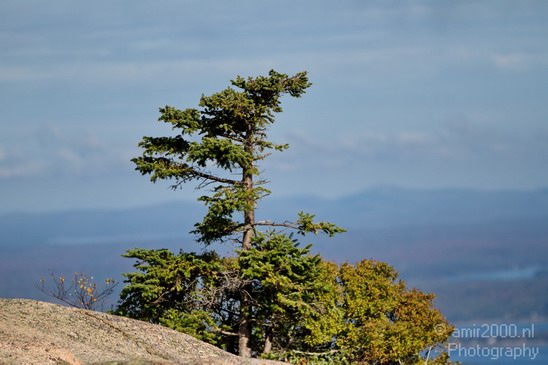 Acadia_National_Park_Maine_Fall_USA_Nature_Photography_051_Canon_EOS_7D.JPG