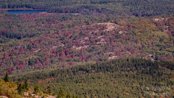 Acadia_National_Park_Maine_Fall_USA_Nature_Photography_057_Canon_EOS_7D.JPG