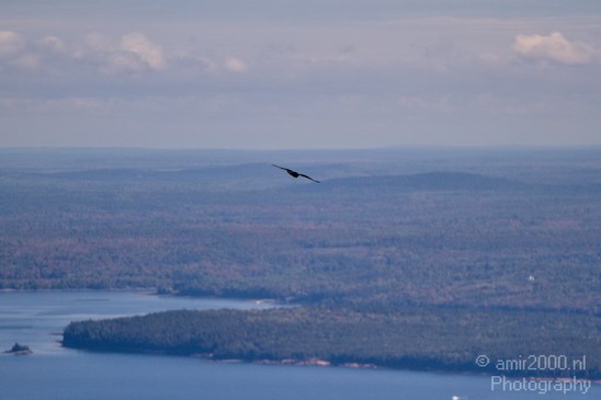 Acadia_National_Park_Maine_Fall_USA_Nature_Photography_061_Canon_EOS_7D.JPG