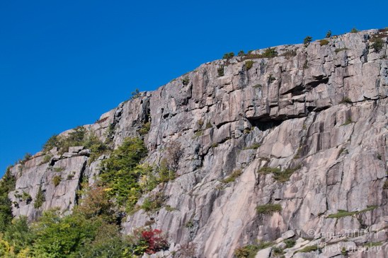 Acadia_National_Park_Maine_Fall_USA_Nature_Photography_064_Canon_EOS_7D.JPG