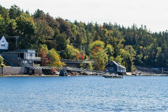 Acadia_National_Park_Maine_Fall_USA_Nature_Photography_082_Canon_EOS_7D.JPG