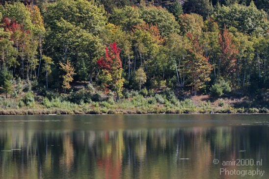 Acadia_National_Park_Maine_Fall_USA_Nature_Photography_083_Canon_EOS_7D.JPG