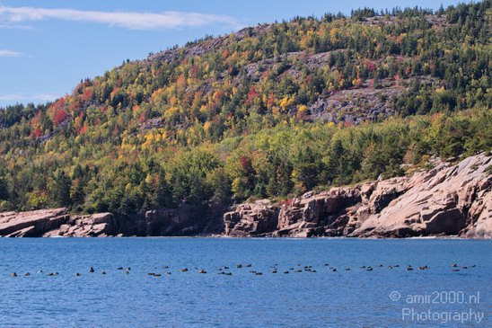 Acadia_National_Park_Maine_Fall_USA_Nature_Photography_091_Canon_EOS_7D.JPG