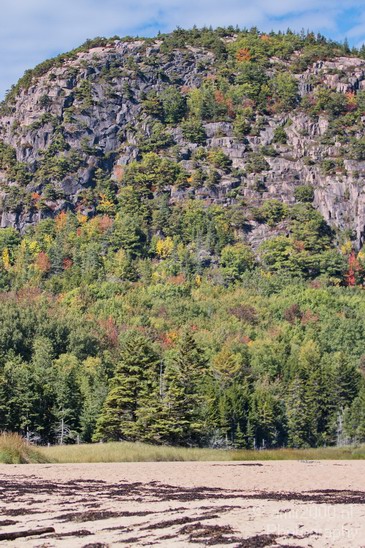 Acadia_National_Park_Maine_Fall_USA_Nature_Photography_092_Canon_EOS_7D.JPG